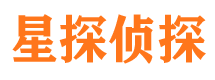 红安商务调查